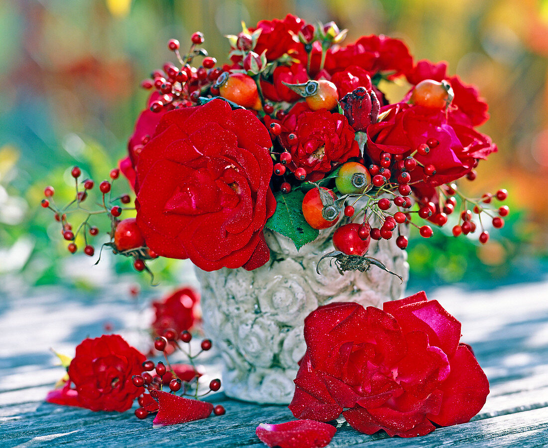 Bouquet made of roses (rose, rosehips)