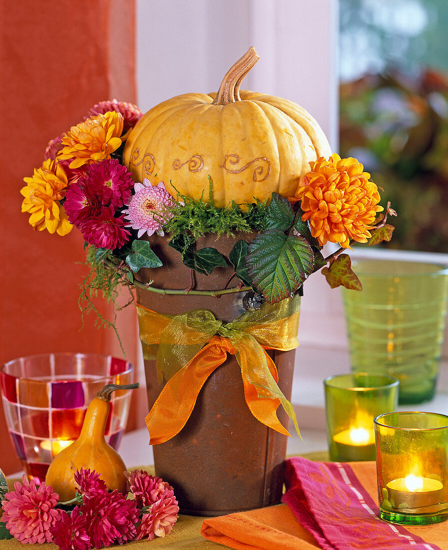 Chrysanthemum (Chrysanthemen), Cucurbita (Kürbis), Hedera (Efeu), Rubus