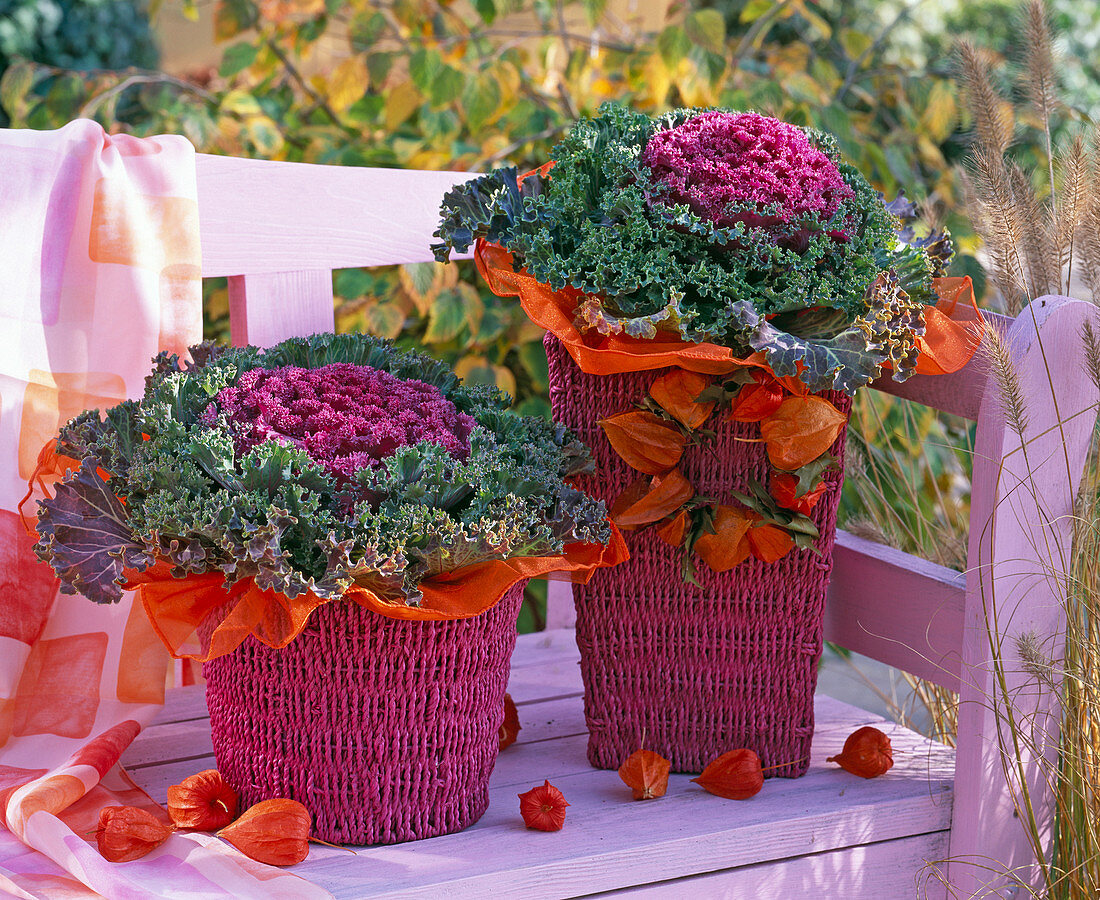 Brassica in pink baskets, wreath of physalis
