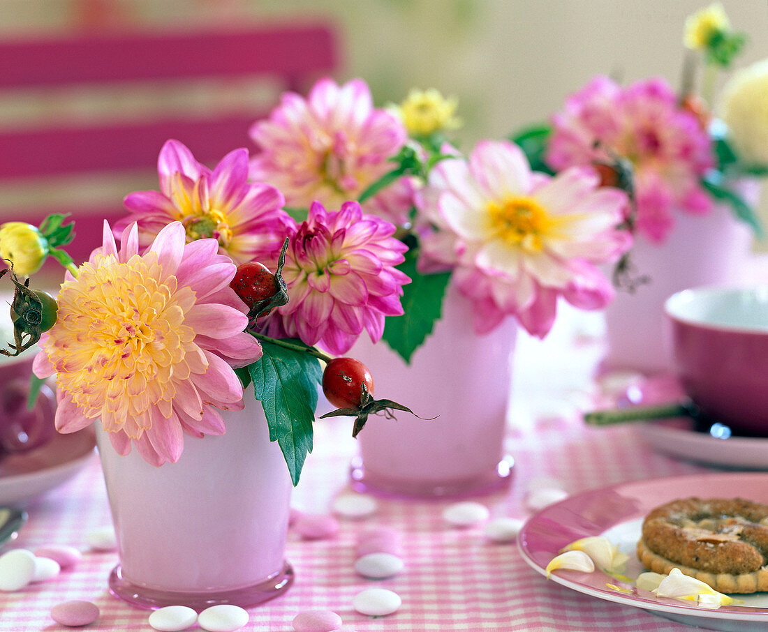 Dahlia (pink dahlia), pink (rosehip) in small pink glass vases