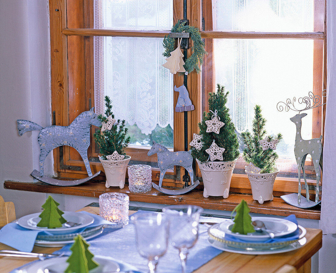 Weihnachtlich dekoriertes Fenster mit Picea glauca 'Conica'