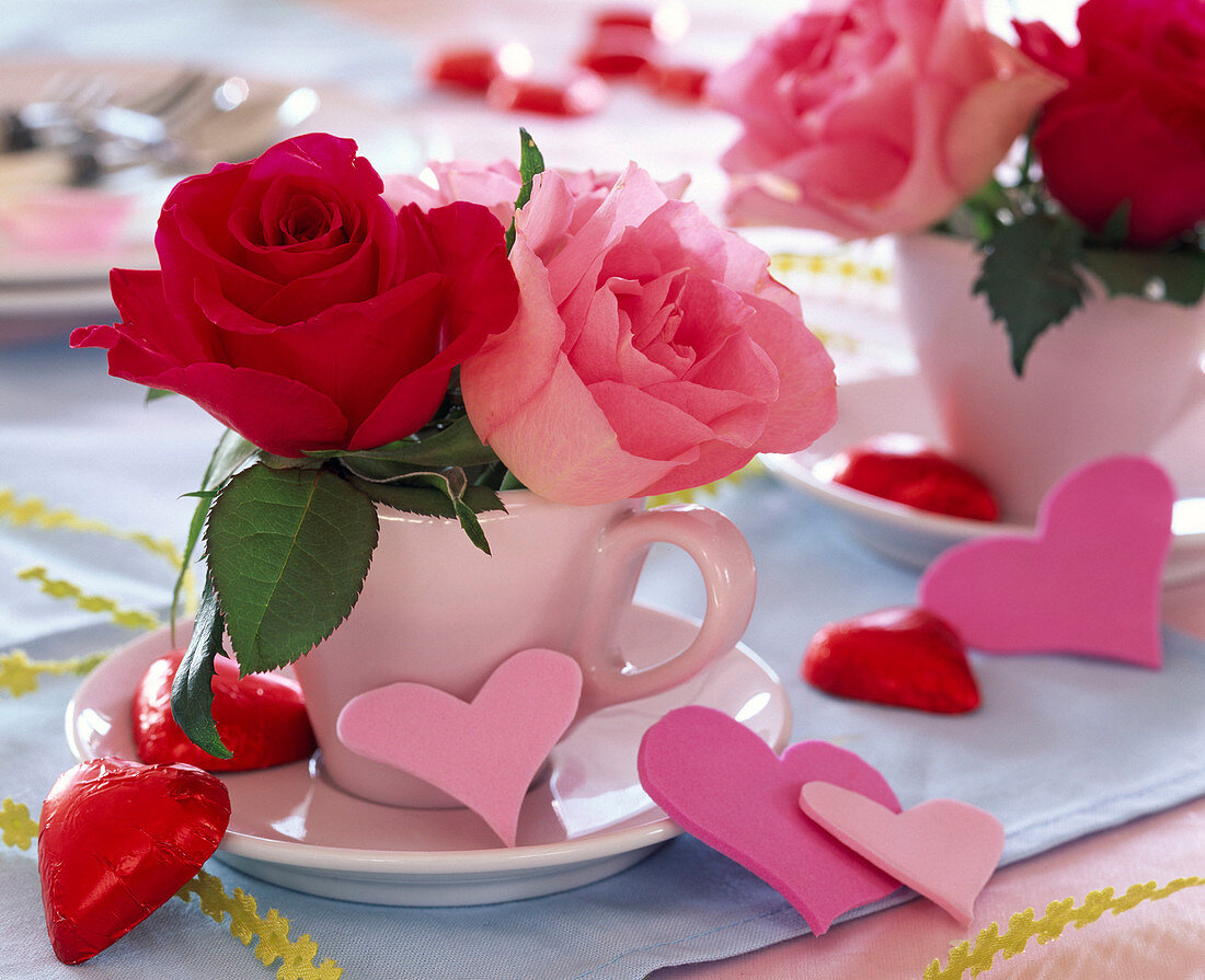Valentine, pink (rose) in cup decorated with hearts