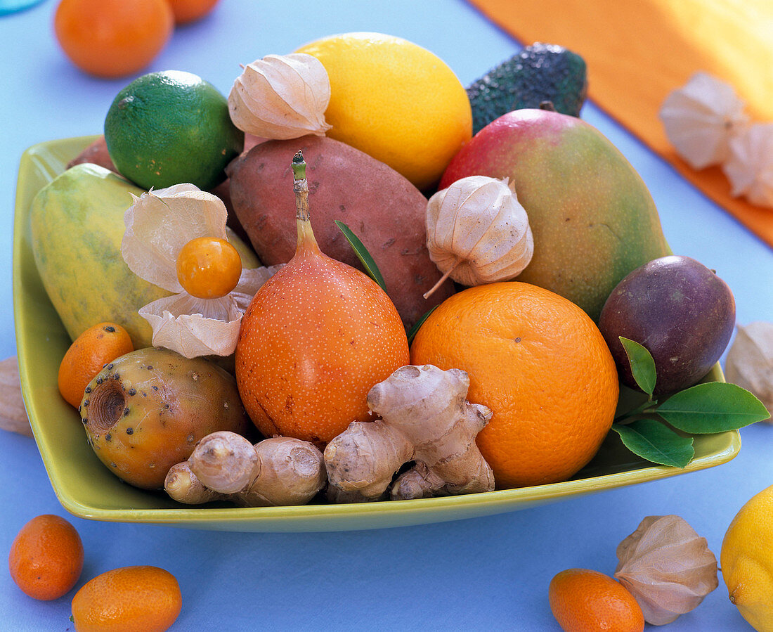 Schale mit exotischem Obst: Citrus (Orange, Zitrone)