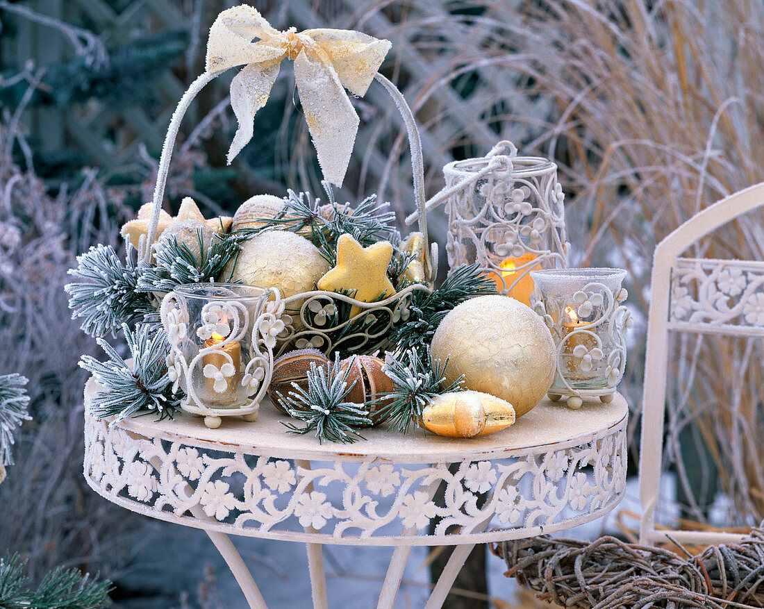 Weihnachtliches Arrangement mit Rauhreif mit Pinus (Kiefer)