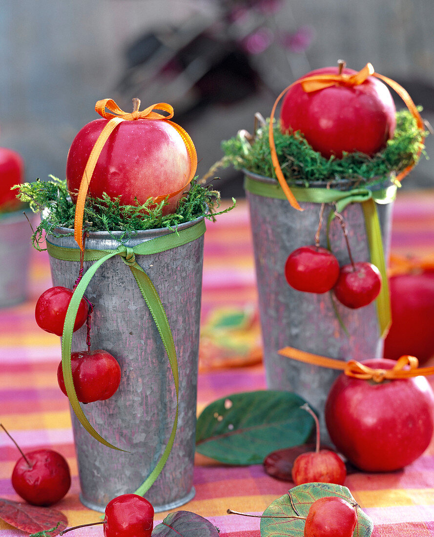 Malus (apple) on moss in high zinc vases, ribbon