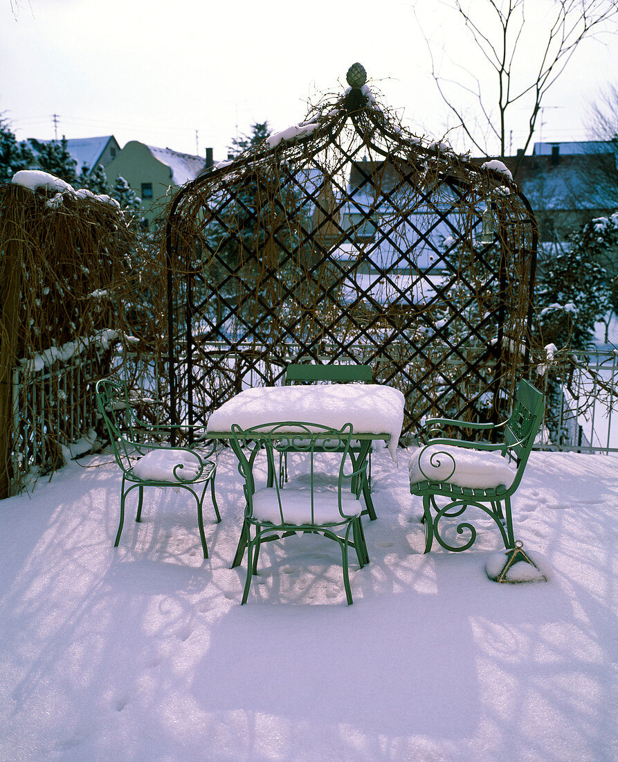 Snow-covered gray-green garnish in front of a covered metal arbor