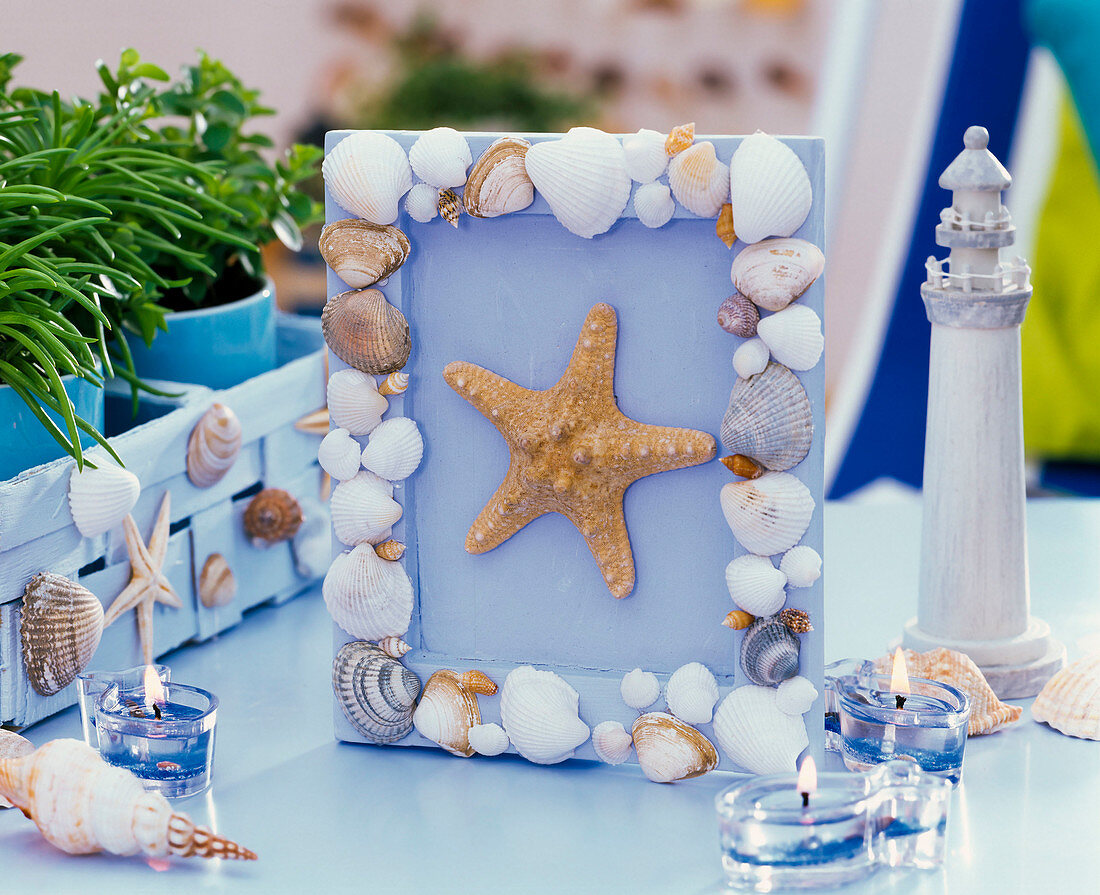 Picture frame with starfish and shells