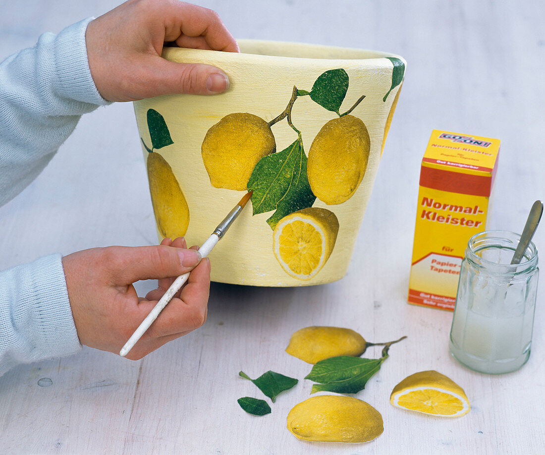 Citrus in pots with napkin decoration