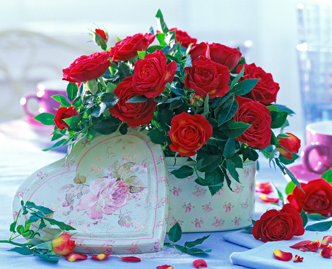 Red roses (pink) in light green tin with painted roses