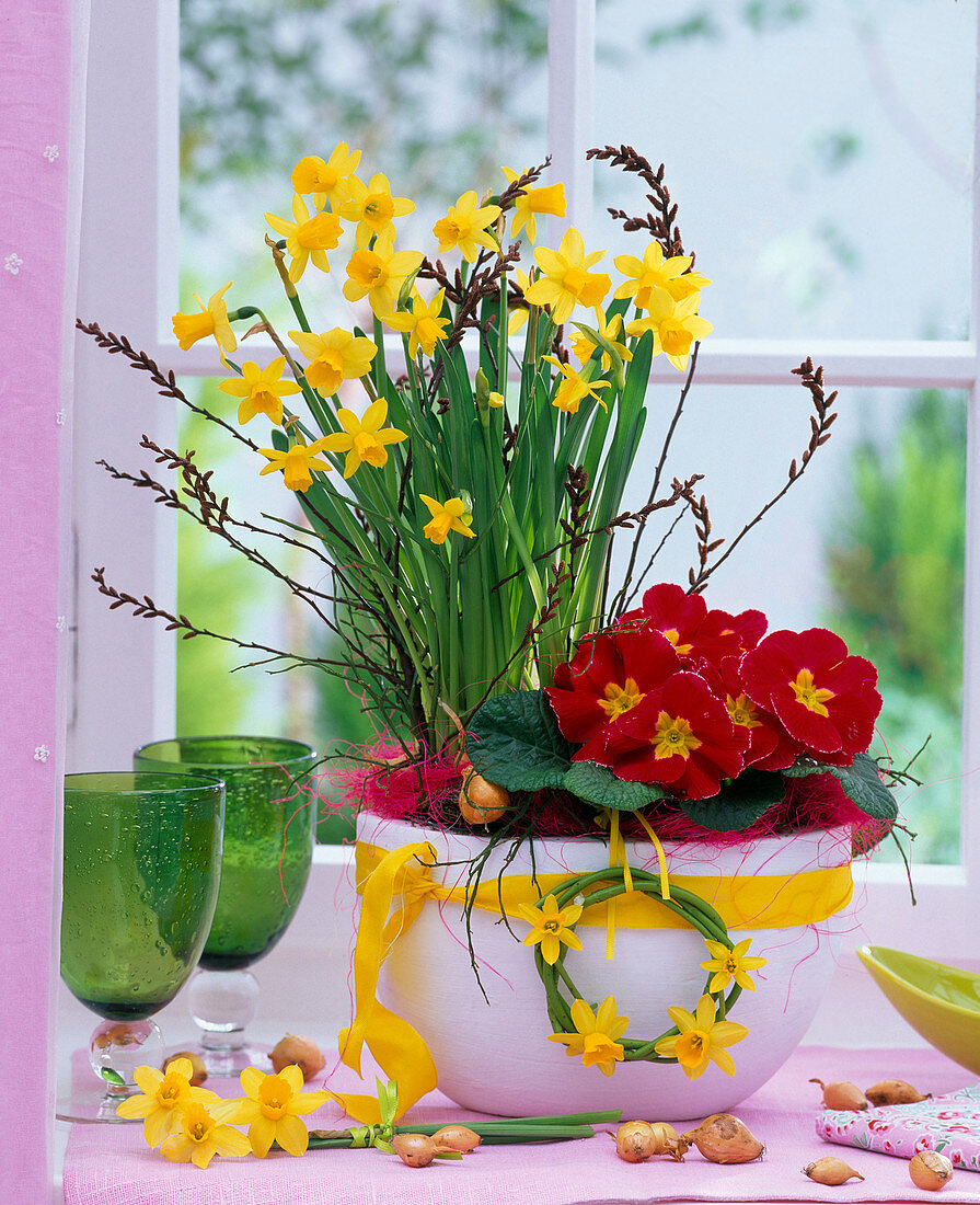 Bowl with Narcissus 'Tete Á Tete' (Daffodil), Primula (Primrose)