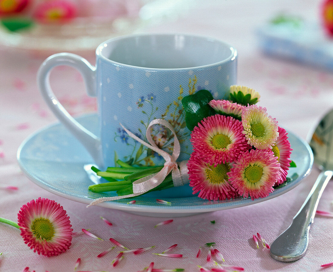 Bellis bouquet on light blue espresso cup, petals