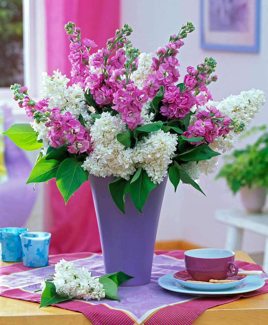 Bouquet of Matthiola incana and Syringa in purple vase