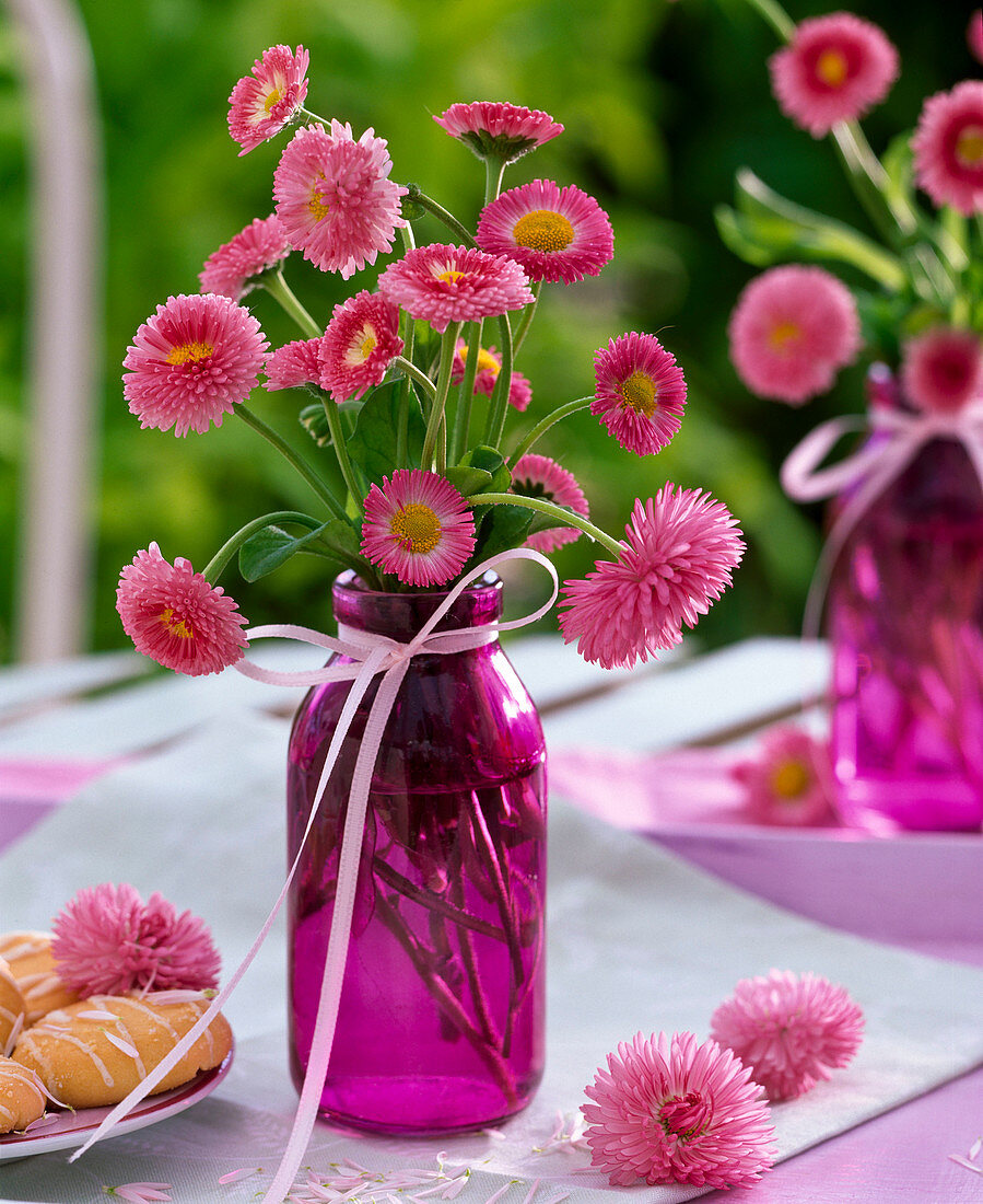 Bellis (Tausendschön) in kleiner lila Flasche, dekoriert mit rosa Band