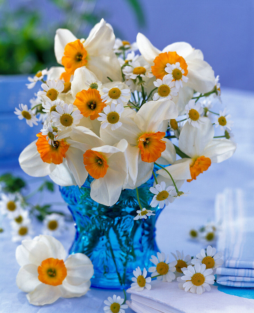 Bouquet of Narcissus and Matricaria