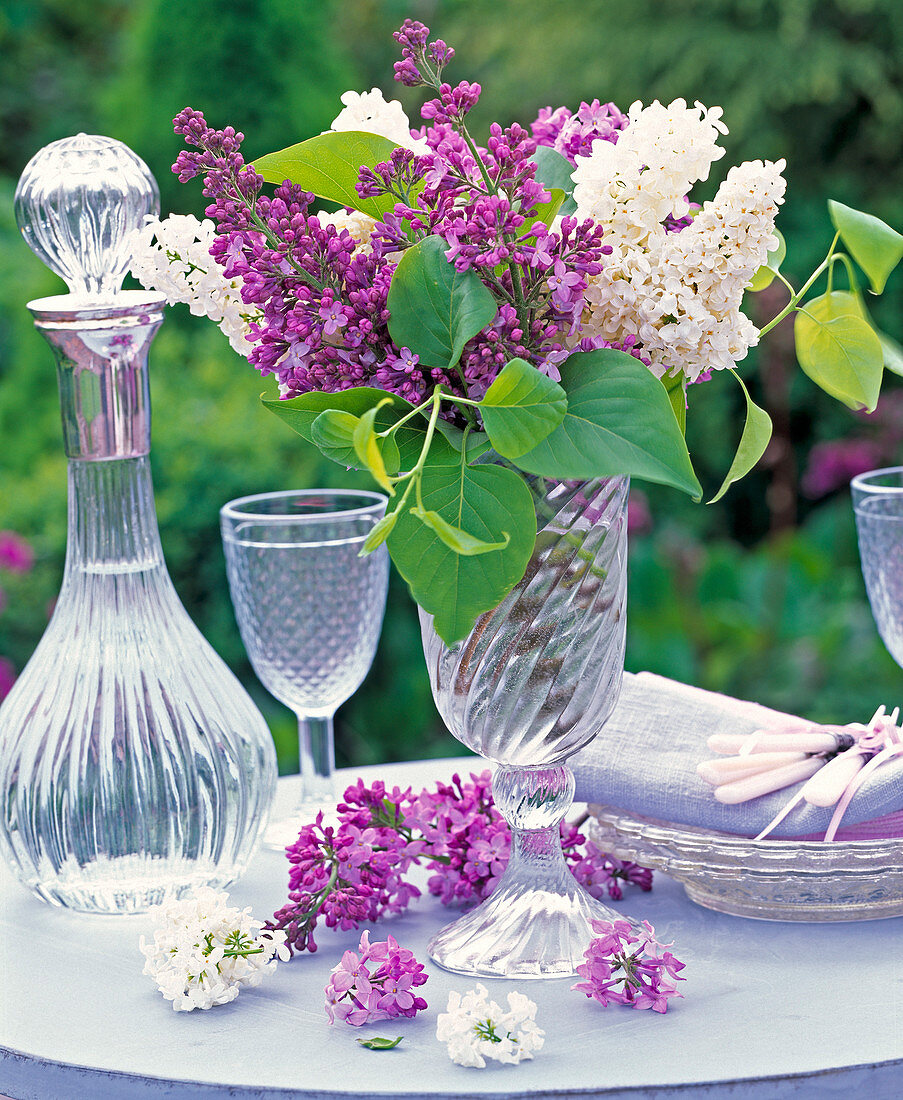 Purple and white syringa in tall glass vase, flowers, carafe, wine glass