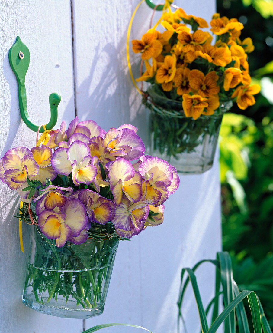 Viola bouquet hung in glasses on the wall