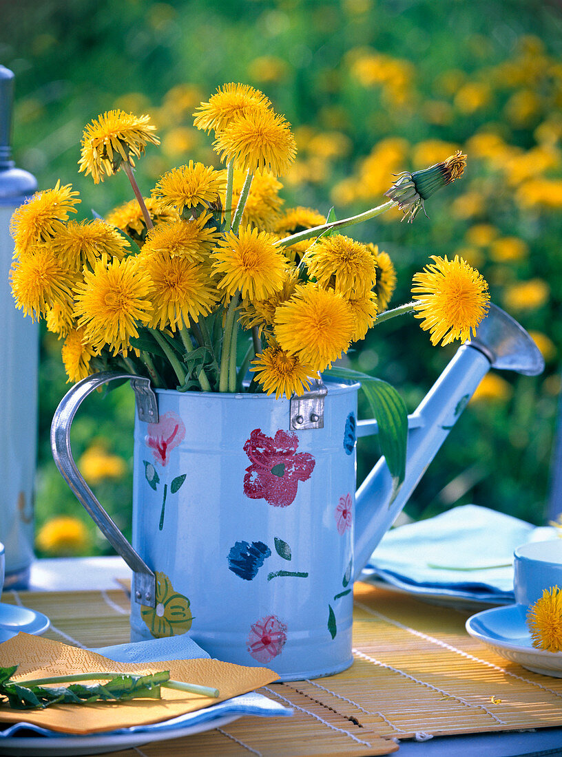 Strauß aus Taraxacum (Löwenzahn) in hellblauer Gießkanne mit Blümchen