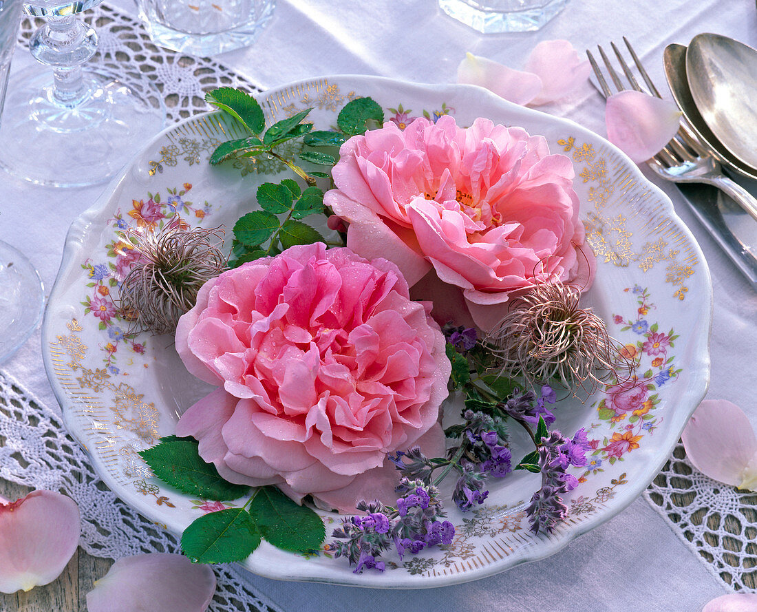 Blüten von Rosa 'Mary Rose' (Englische Rose), Nepeta (Katzenminze), Clematis