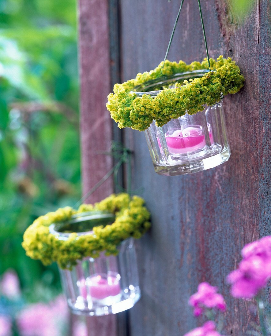 Lanterns with wreath of alchemilla (lady's mantle) on wall