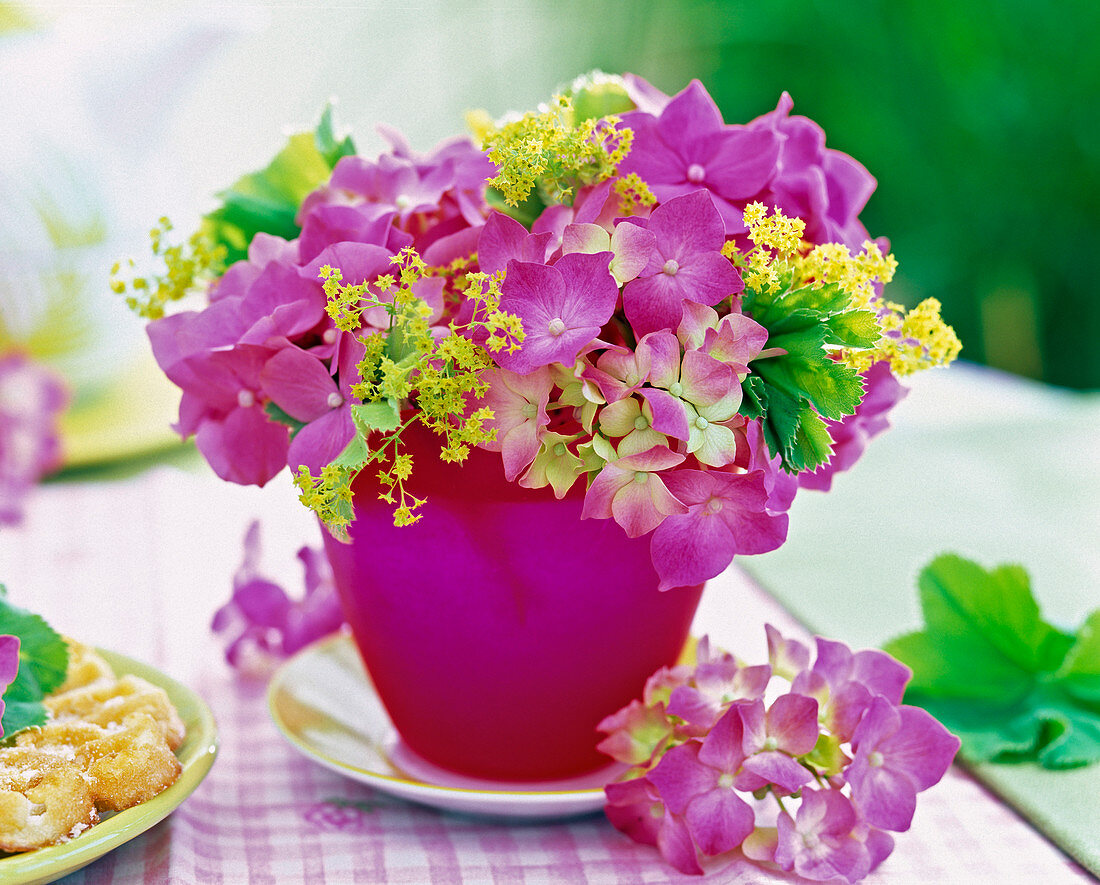 Hydrangea, alchemilla in pink