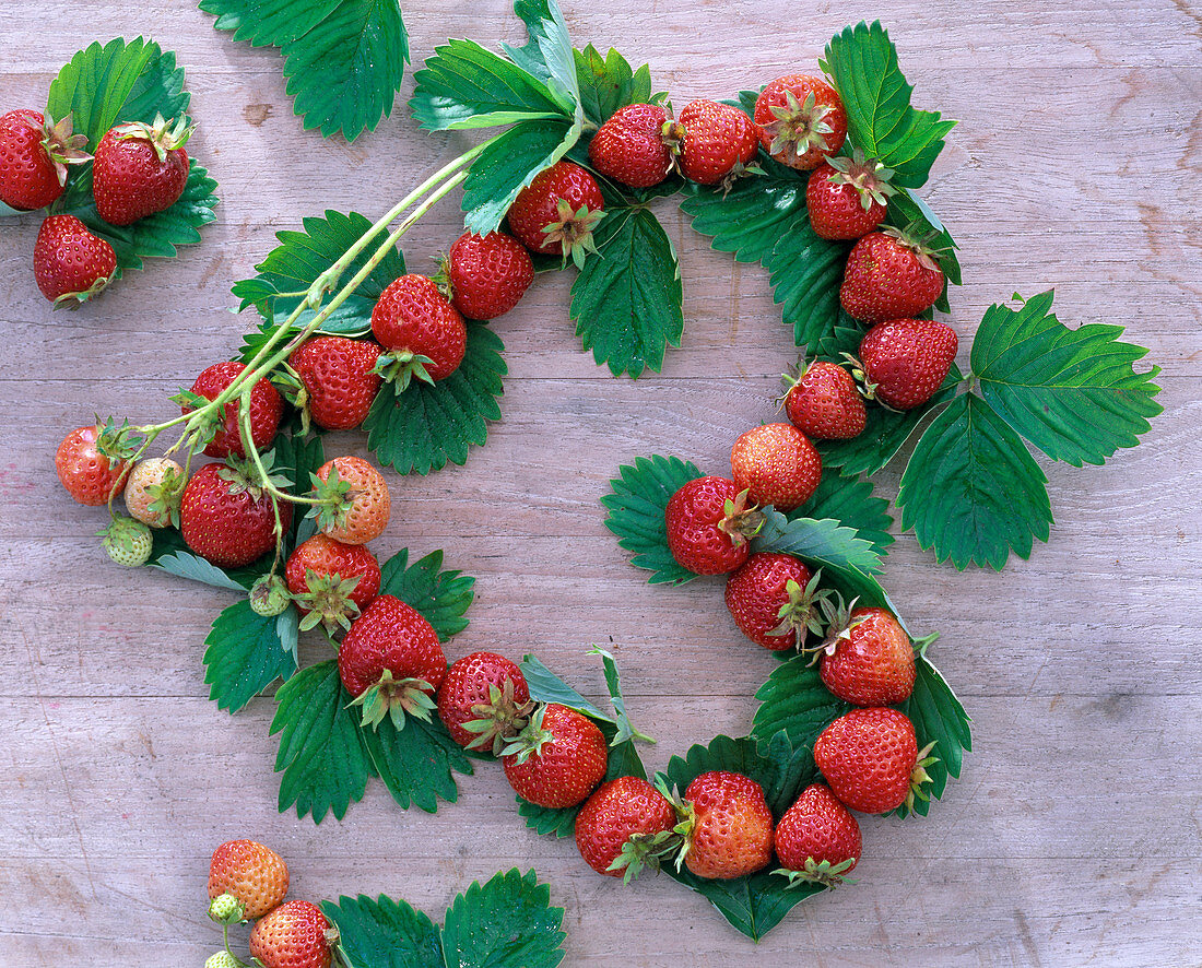 Herz aus Fragaria (Erdbeeren, Ranken mit Blättern und Früchten) auf Holz
