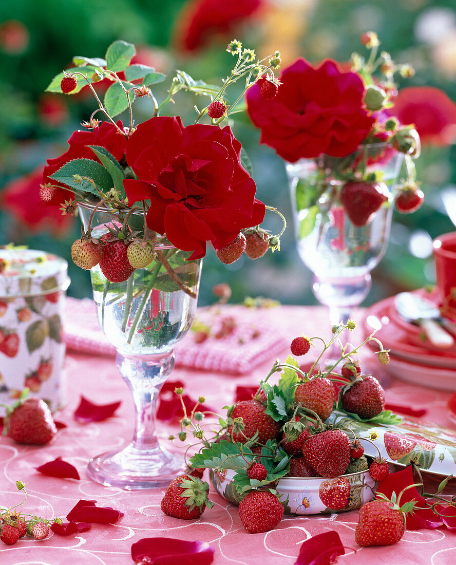 Rosa (Rosen, rot), Fragaria (Erdbeeren) in Glas und in Blechdose