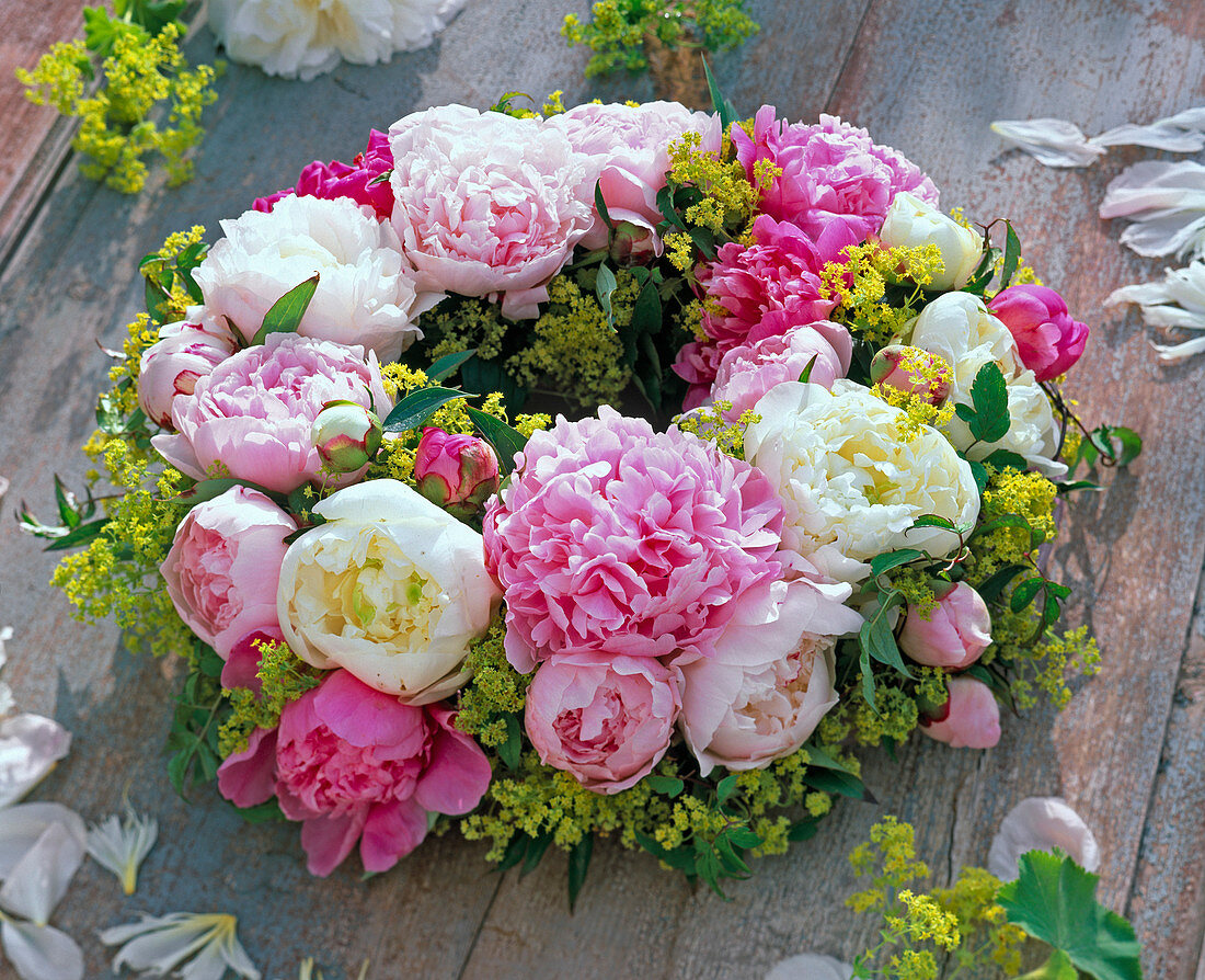 Pasted wreath with peonies