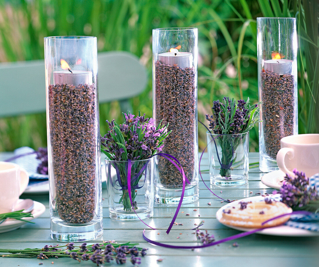 Hohe Gläser mit Blüten von Lavandula (Lavendel) gefüllt