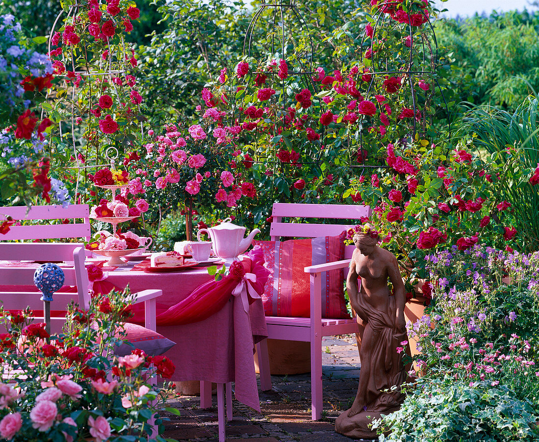 Terrasse mit Rosa 'Flammentanz' (Kletterrosen)