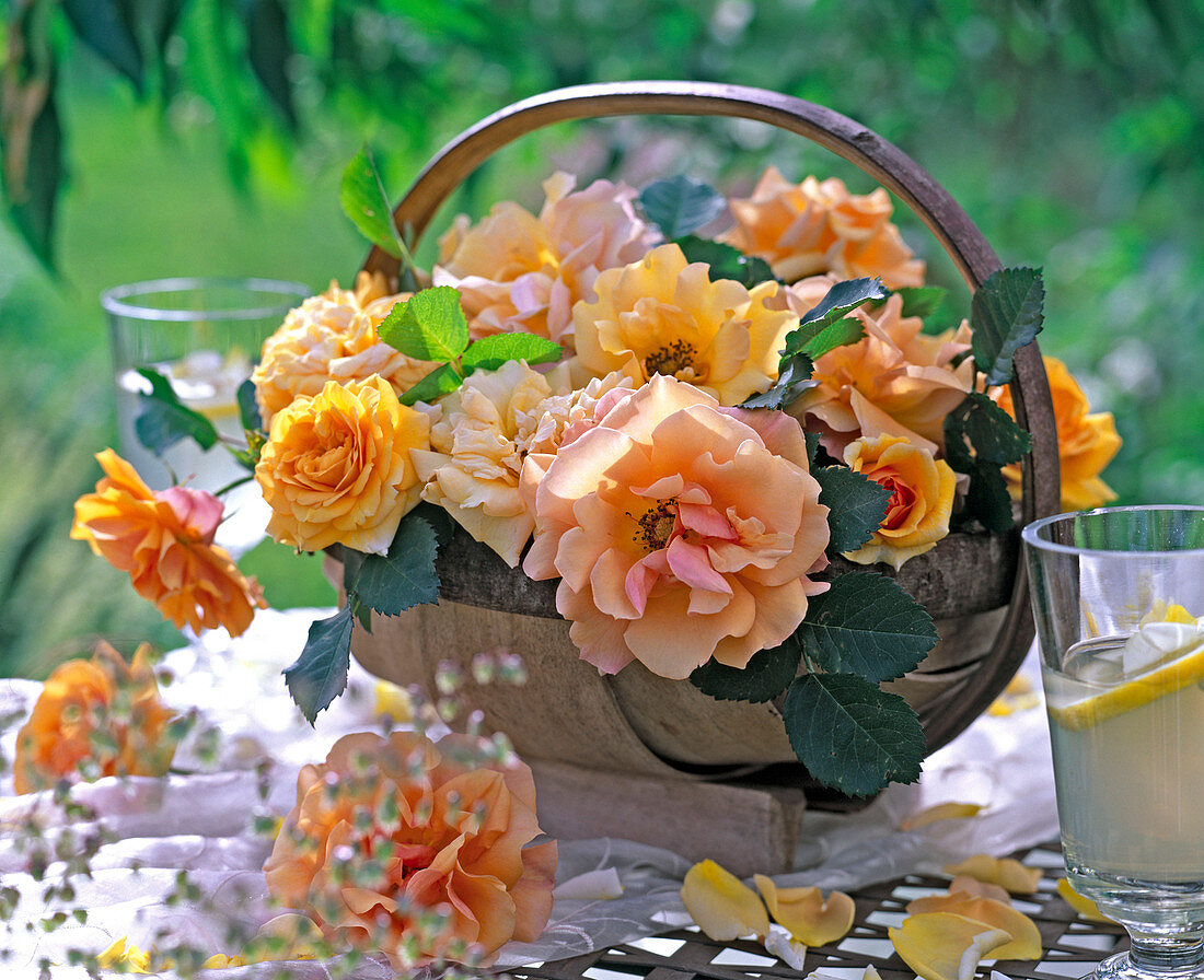Pink 'tequila' (rose), yellow and peach, in basket