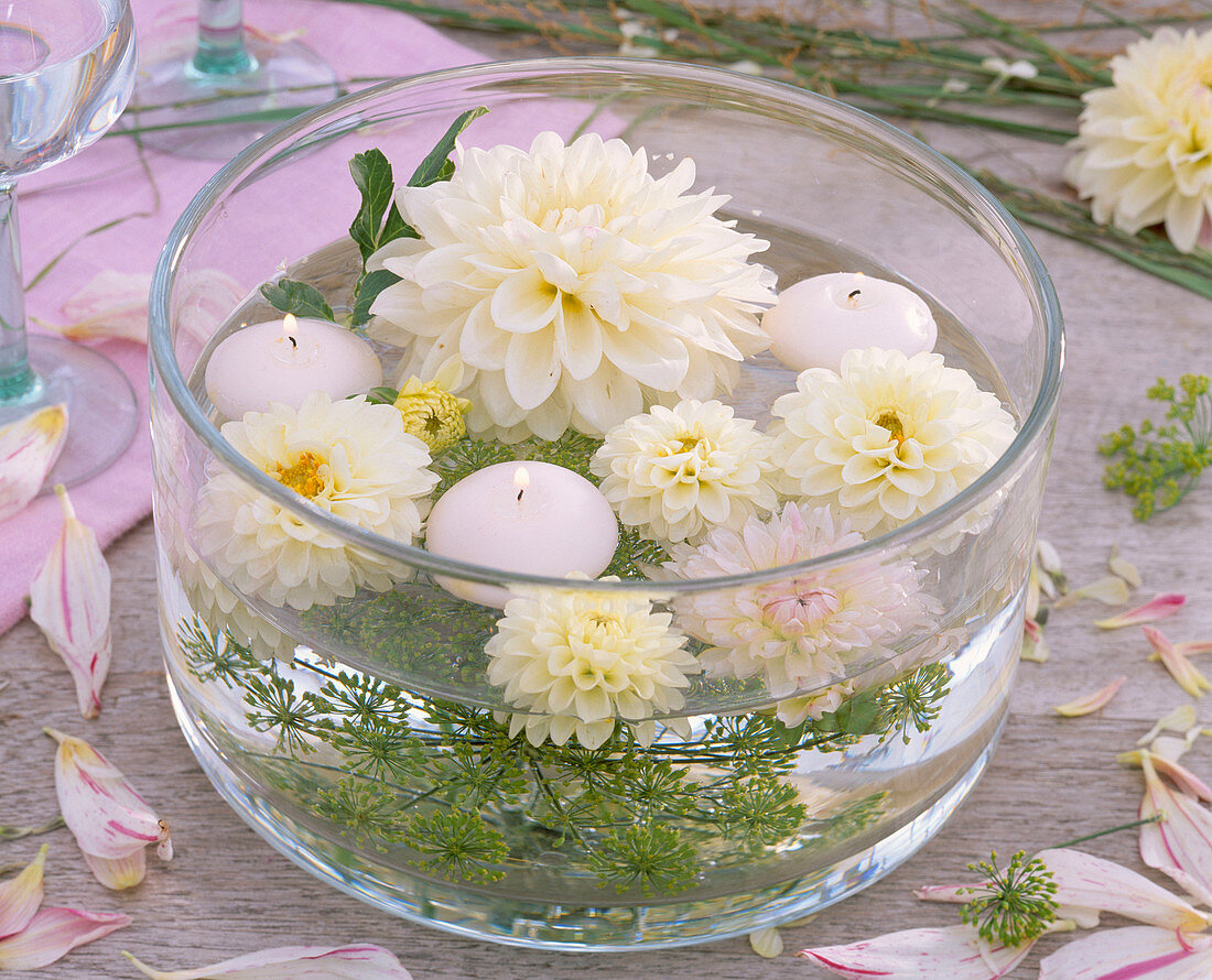 Blüten von weißen Dahlia (Dahlien), Anethum (Dill), weiße Schwimmkerzen