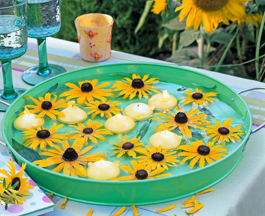 Blüten von Rudbeckia (Sonnenhut), gelbe Schwimmkerzen in grünem Tablett