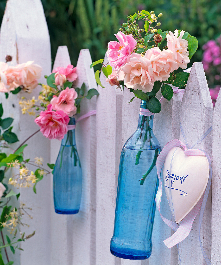 Rosa (Rosen), Blüten und Hagebutten, Clematis (Waldrebe) in blauen Flaschen