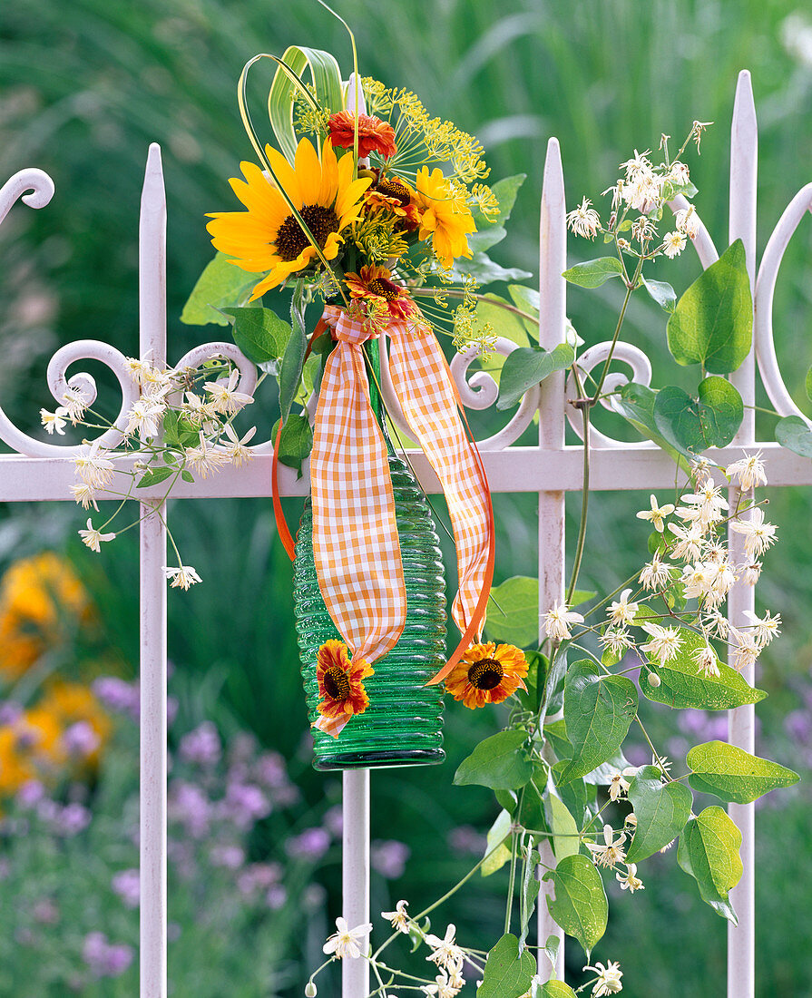 Helianthus, Helenium, Clematis