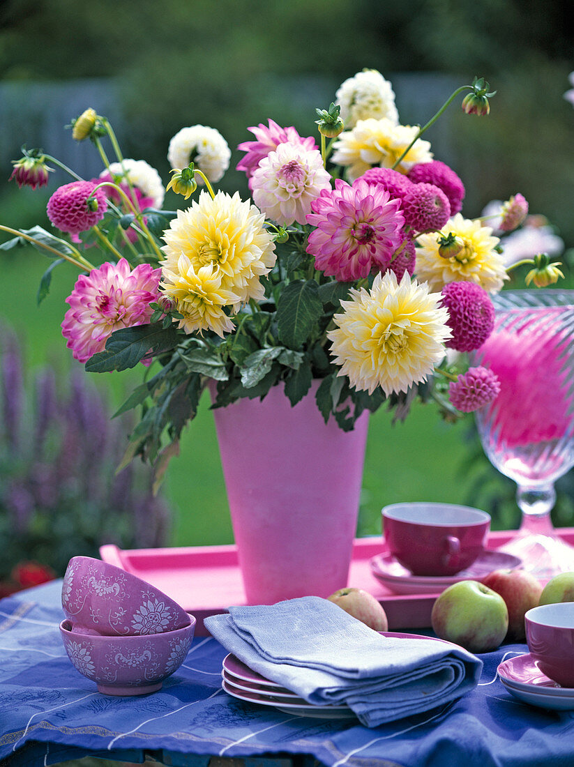 Strauß aus rosa und weißen Dahlia (Schmuck- und Pompondahlien) in rosa Vase