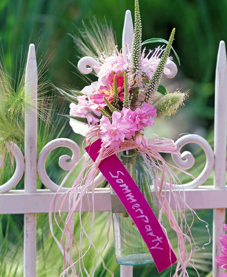 Nerine, Saponaria (Seifenkraut), Zinnia (Zinnie), Veronica (Ehrenpreis)