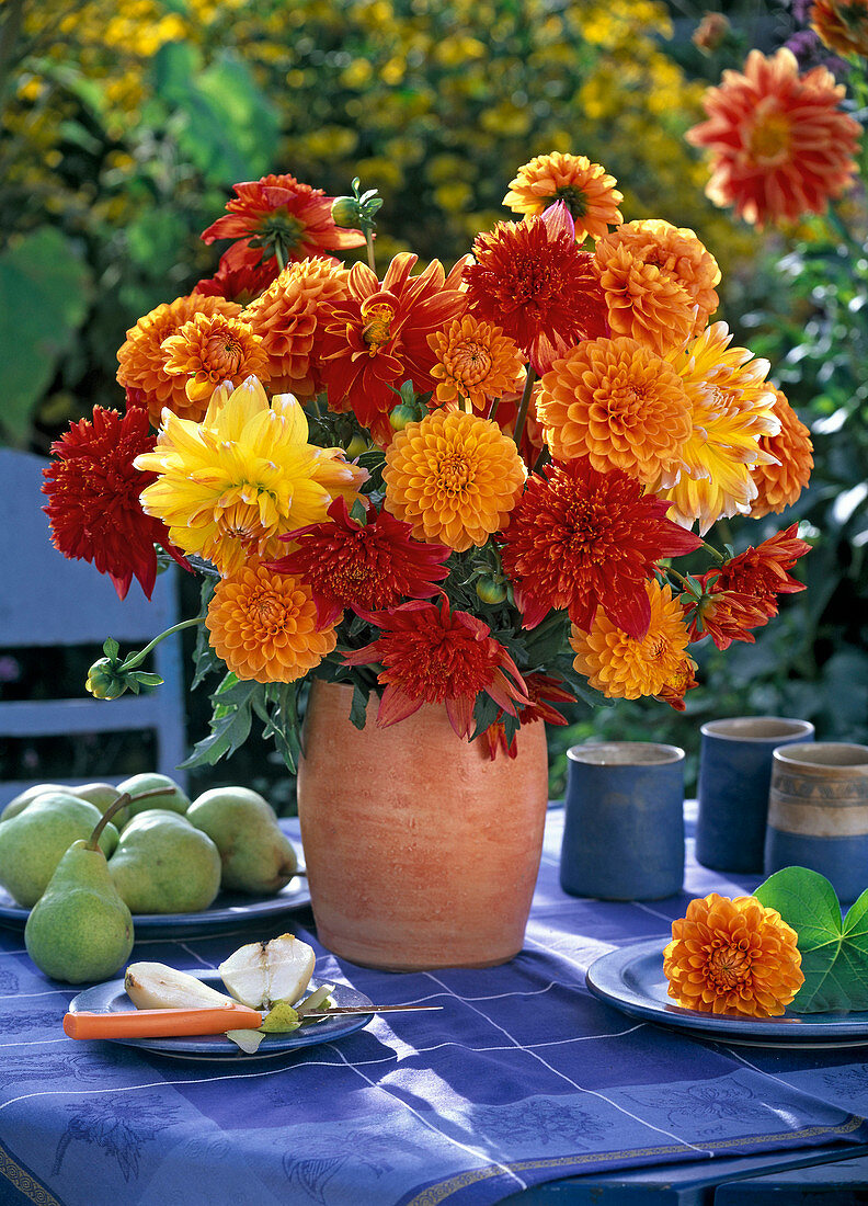 Strauß aus Dahlia (Dahlien in gelb, orange und rot) in oranger Vase