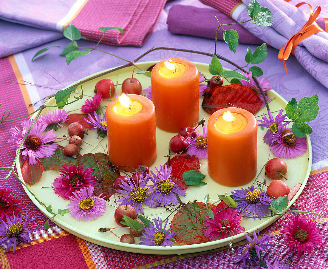 Candle decoration in autumn with aster