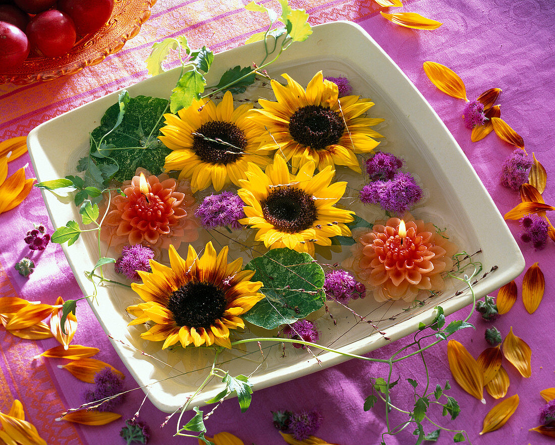 Blüten von Helianthus (Sonnenblumen) und Schwimmkerzen im Wasser