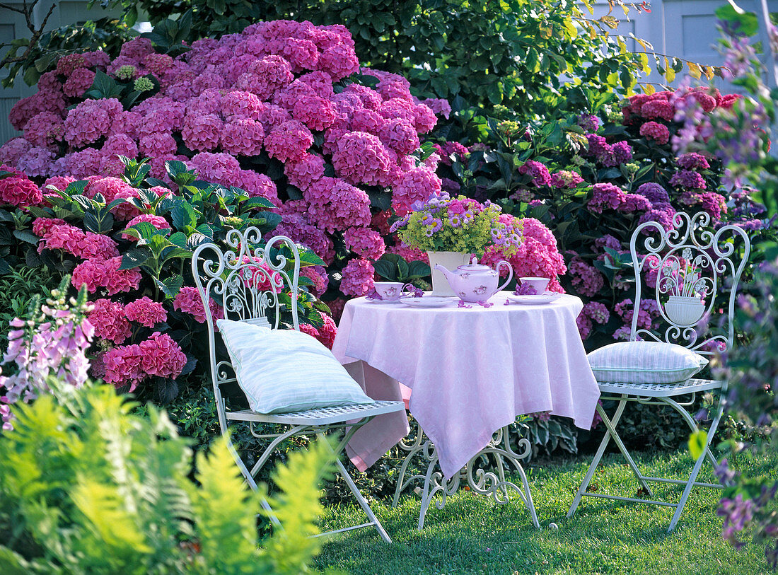 Nostalgic seating on the lawn at the hydrangea bed