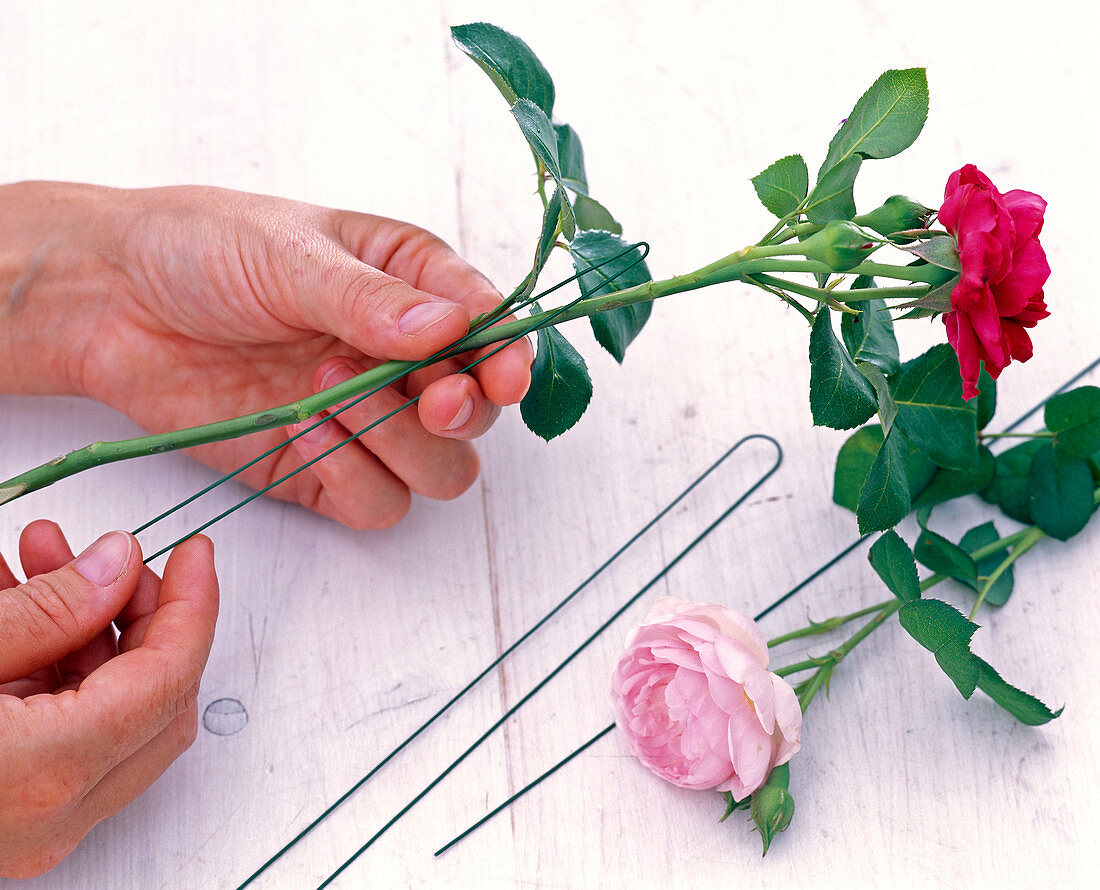 Arrangement with curved roses