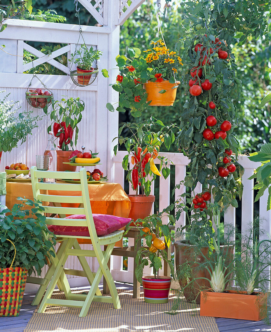 Vegetable balcony with paprika and tomatoes
