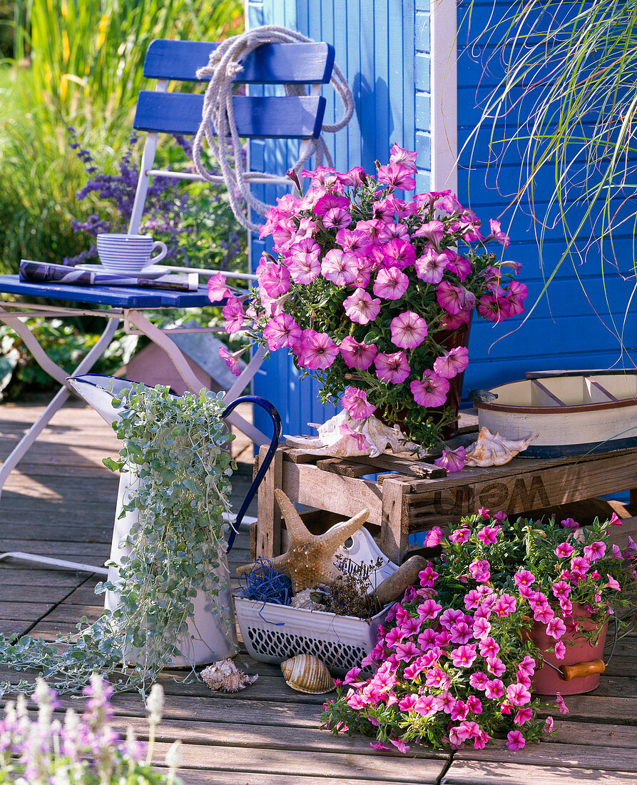 Martimes Arrangement auf Terrasse in blau-weiß