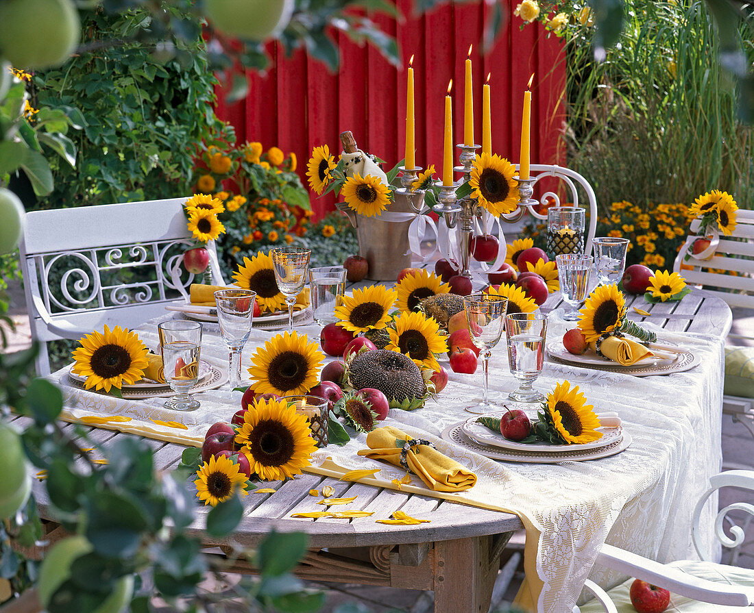 Table decoration in autumn with Helianthus and Malus