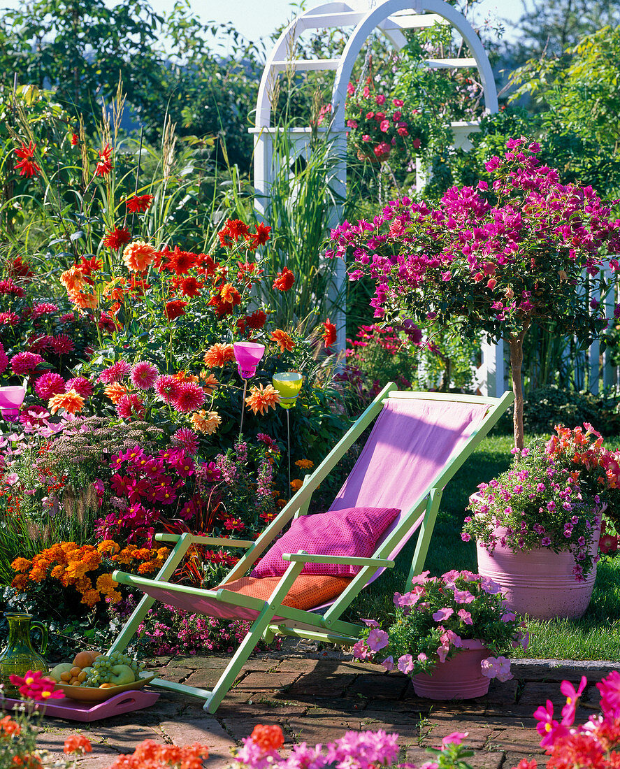 Deck chair on the summer flowerbed with Dahlia, Cosmos, Tagetes