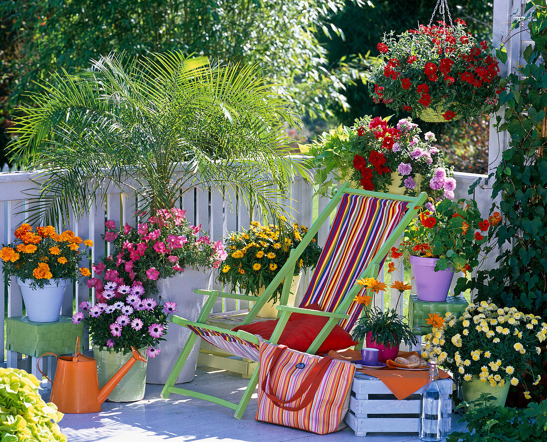 Colorful balcony with phoenix palm and deckchair