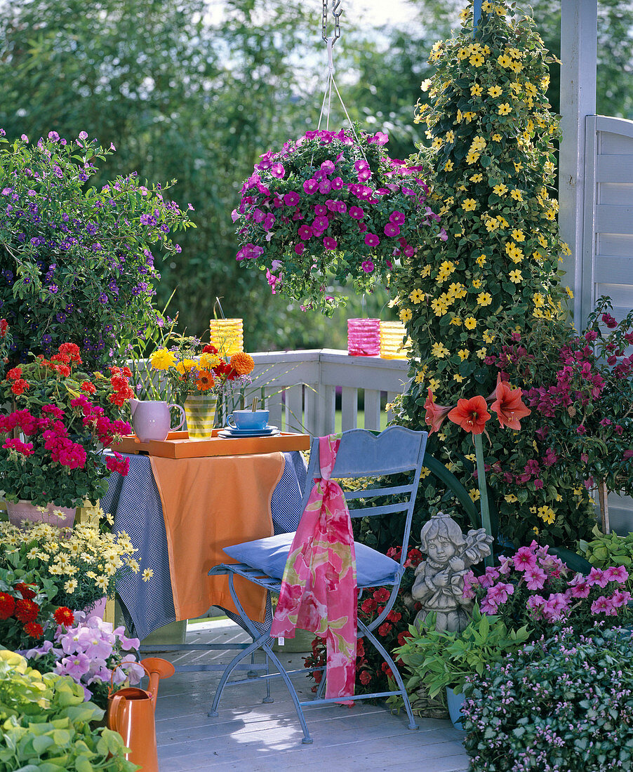 Colorful balcony with summer flowers and potted plants