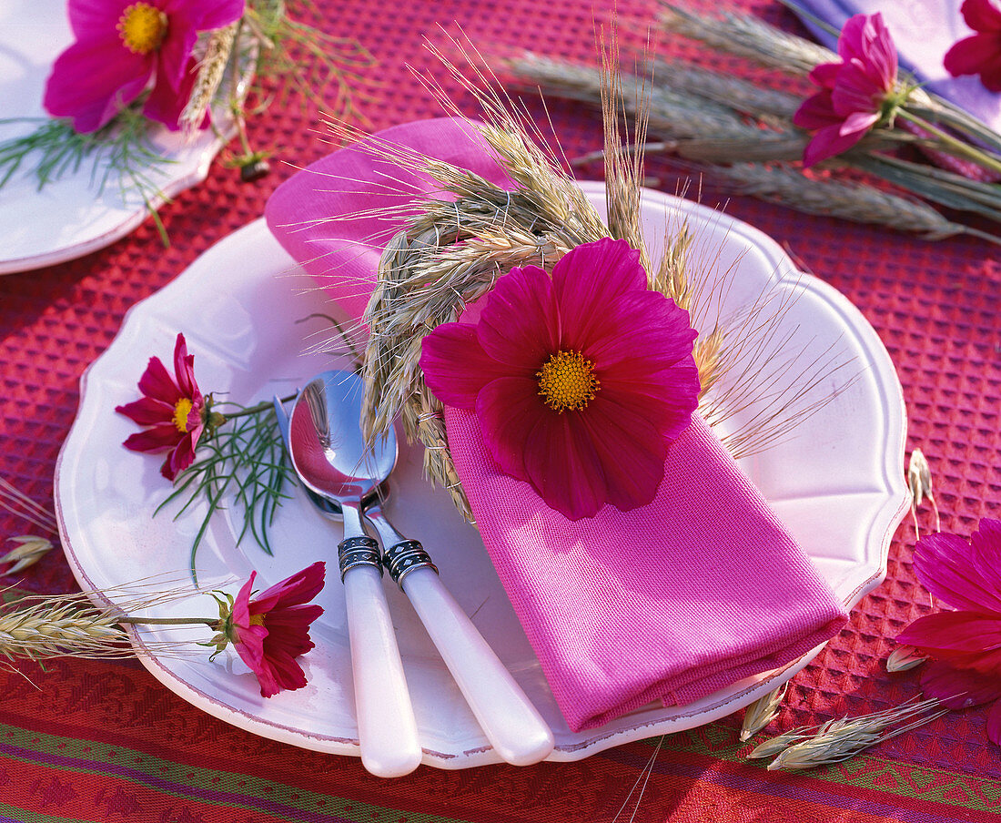 Napkin decoration for Thanksgiving with Cosmos, Hordeum