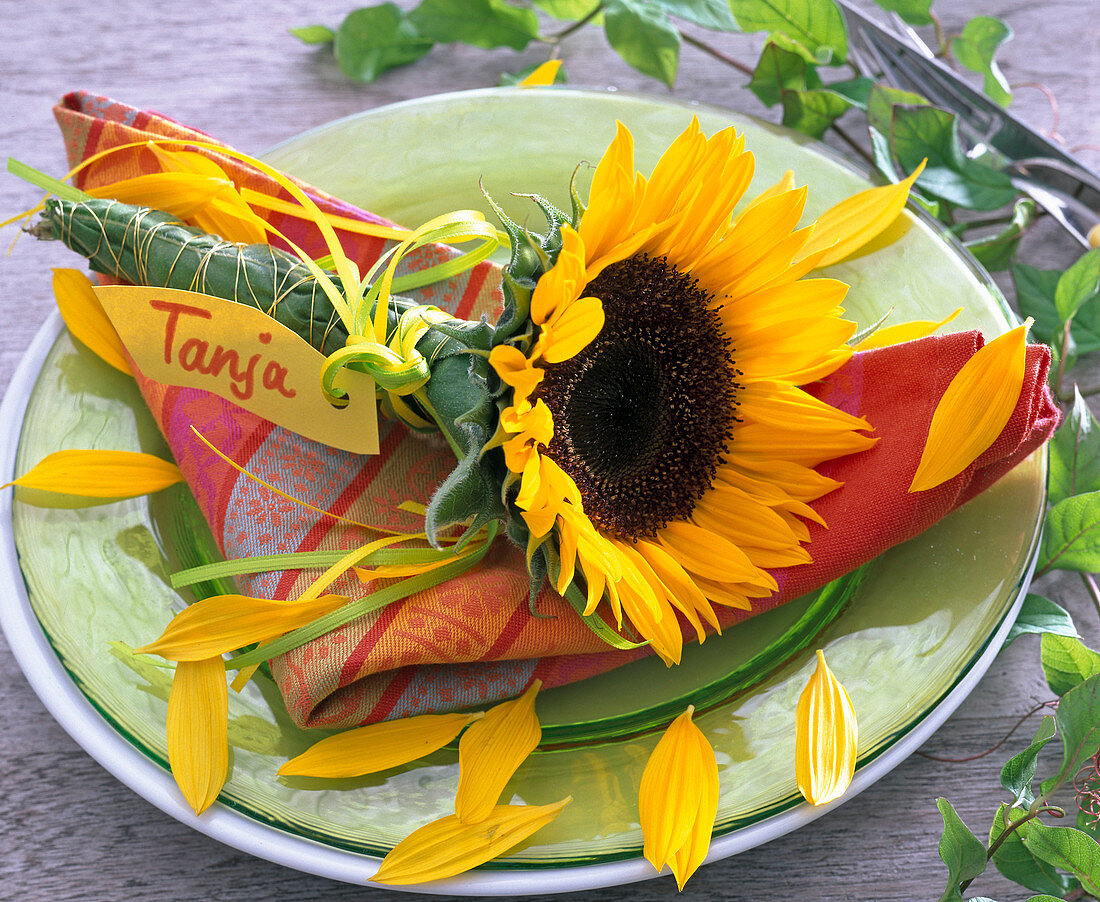 Sonnenblume in Blumenröhrchen: 3/3