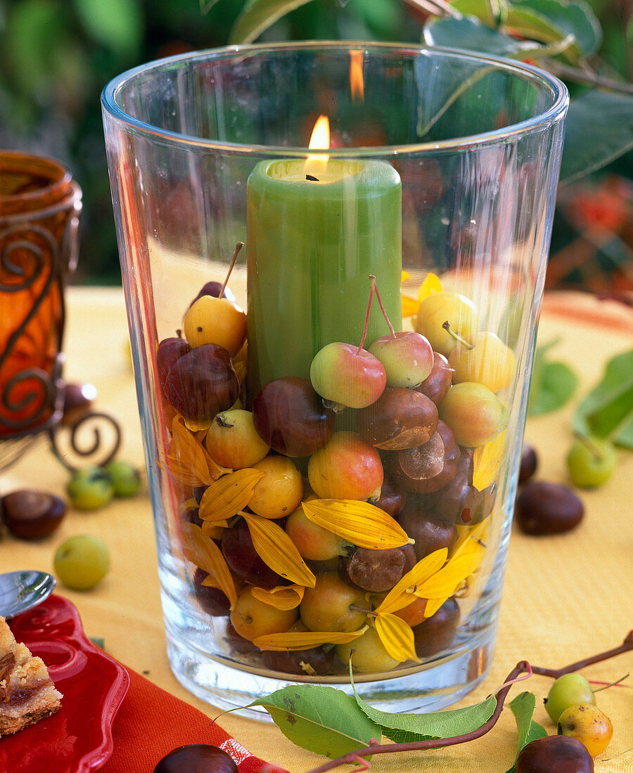 Lantern with berries and fruits